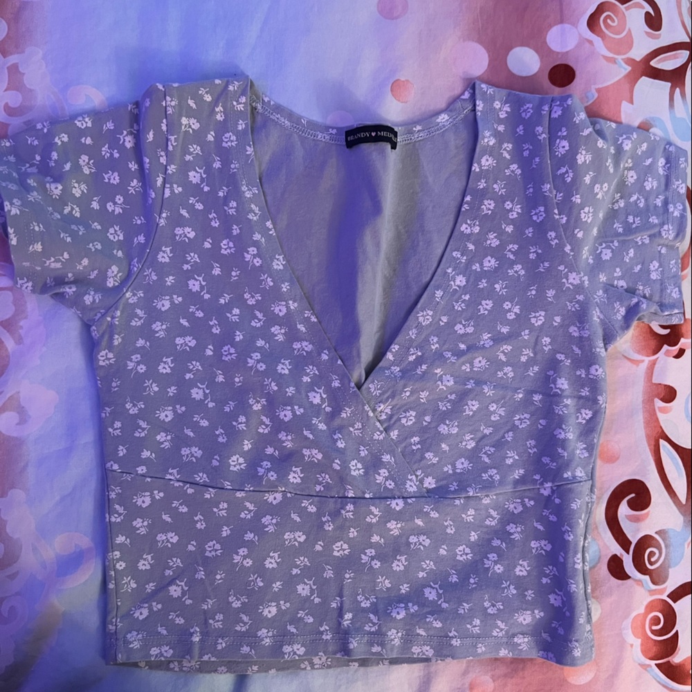 Brandy Melville amara v cut blue floral top